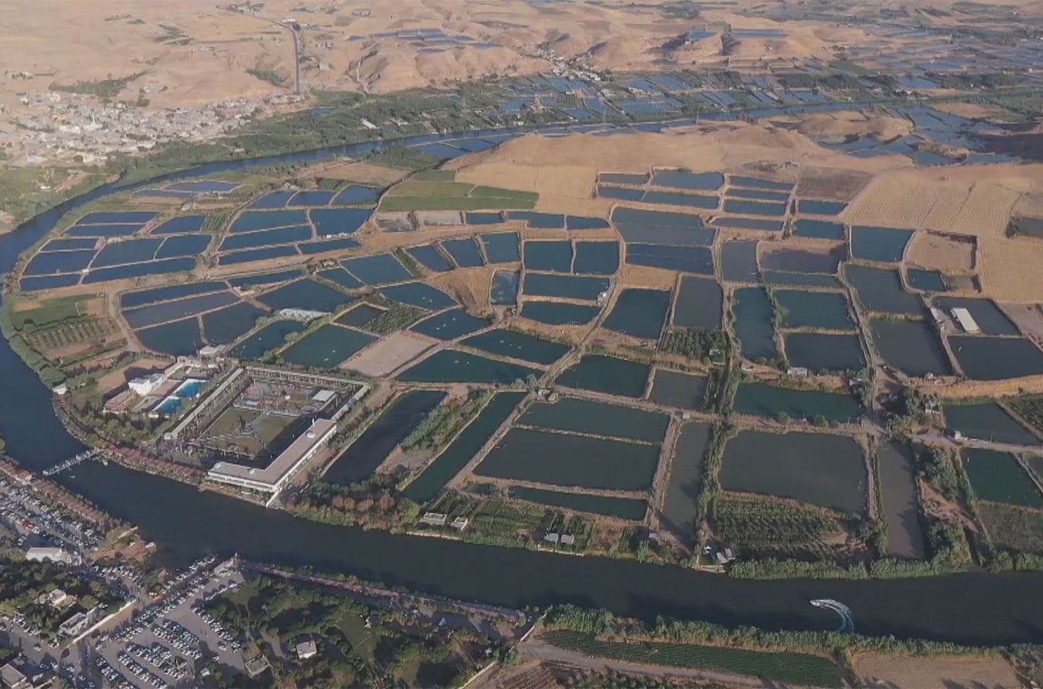  لافاو لە تەقتەق 750 هەزار ماسیی بردووە و خاوەن حەوزەکان چاوەڕێی قەرەبوون