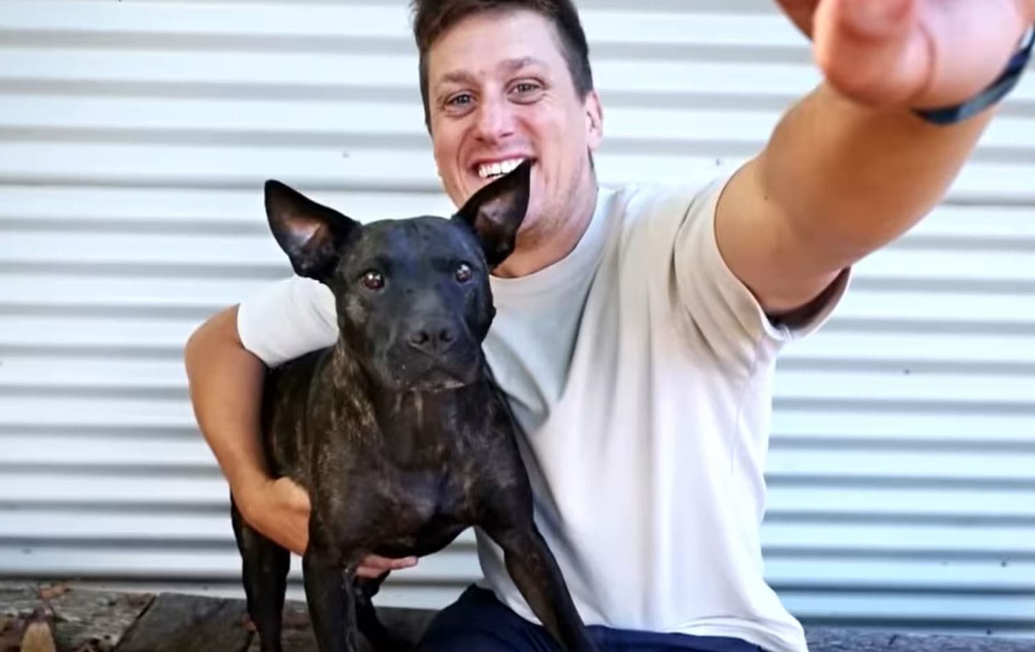 بەڕێوەبەرێکی ئوسترالی بە زیرەکیی دەستکرد ڤاکسینێکی شێرپەنجە بۆ سەگەکەی دروستدەکات