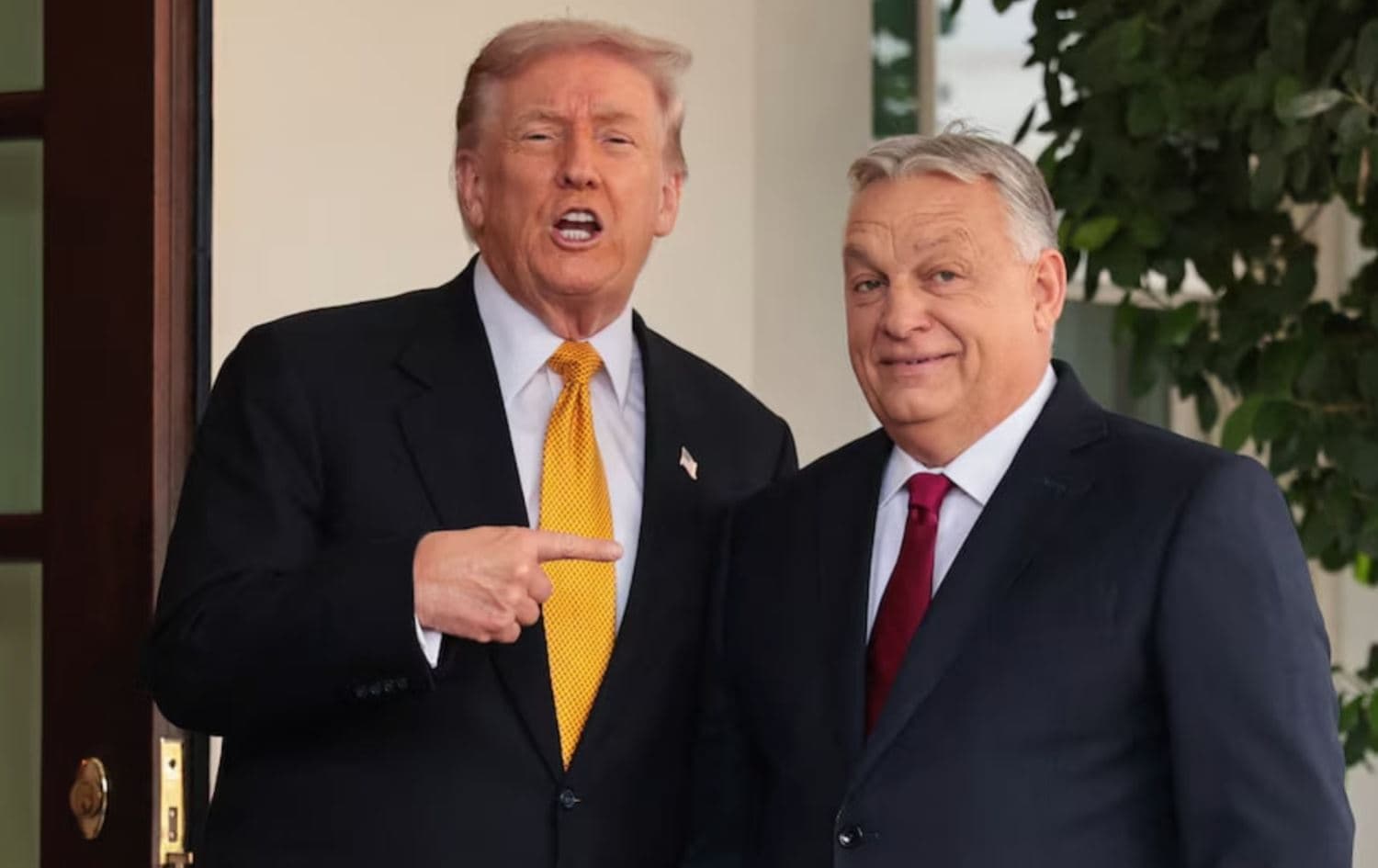 Trump'tan Orban'a destek mesajı: Orban ile çalışmaya devam etmek istiyorum