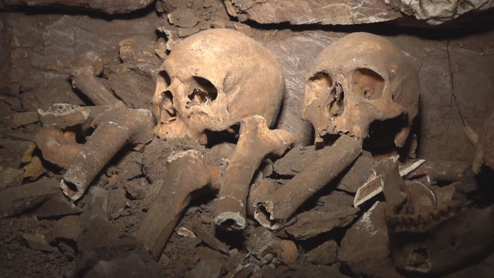 Human skeletons believed to date back to Iron Age discovered in Erbil province 