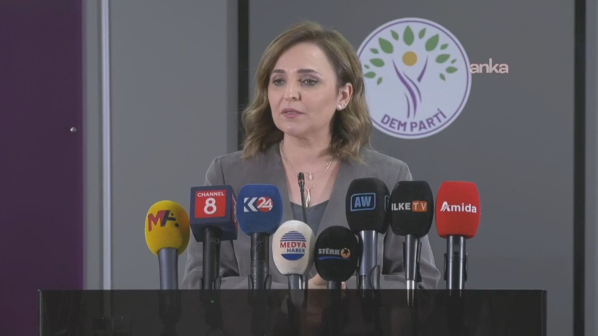 DEM Partî dixwaze ku ji bo pêvajoya çareseriyê gav bên avêtin