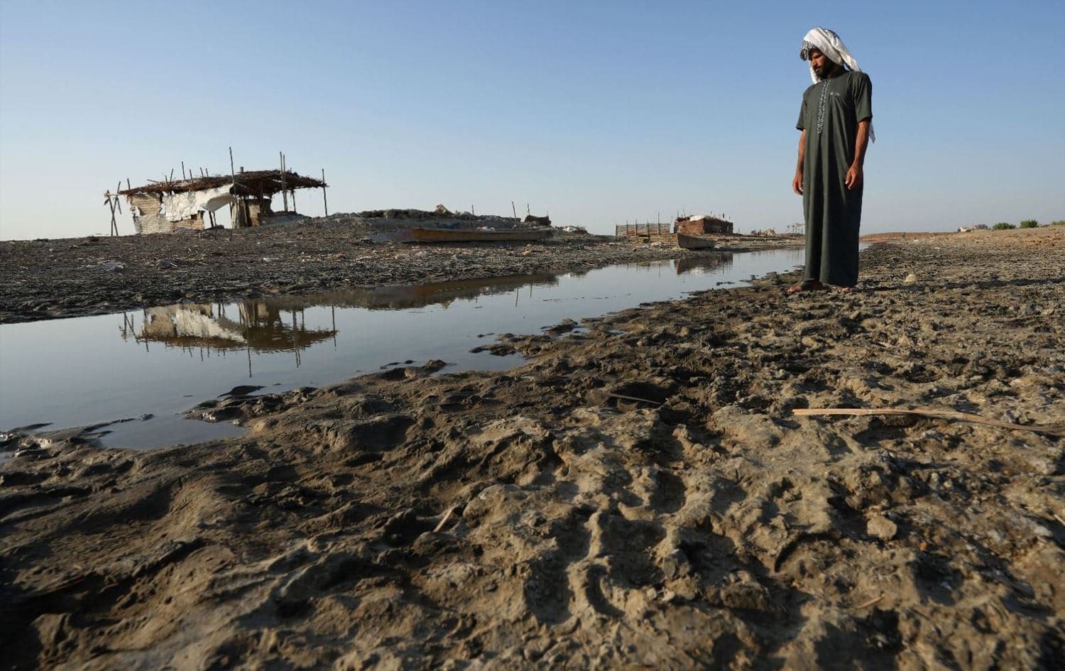 Iraq sees drop in wheat production amid summer drought