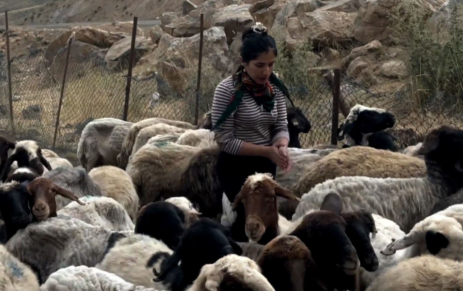Kurdish woman sings while keeping nomadic traditions alive