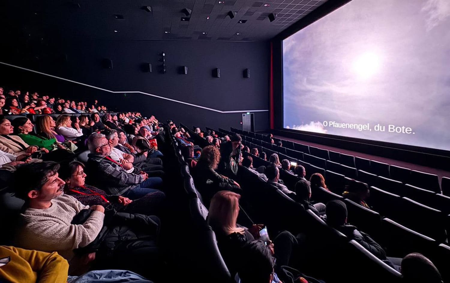 People watch films at the Kurdish Film Festival in Dusseldorf, Germany. File photo: Submitted/Rawand Jawad